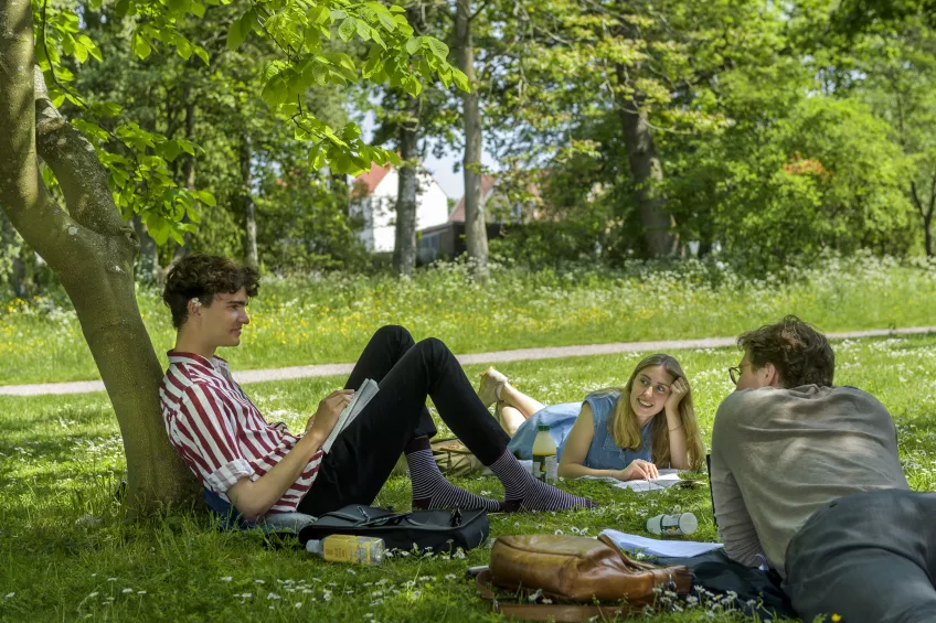 Students studying in the grass