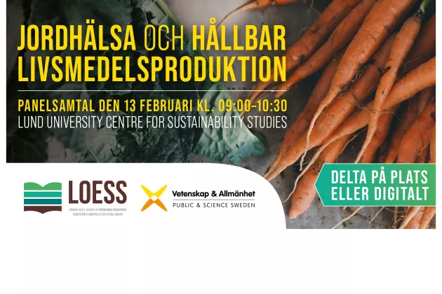 jordhälsa och livsmedelsproduktion_kalendariet.jpg bild på en knippe morötter. text och bild